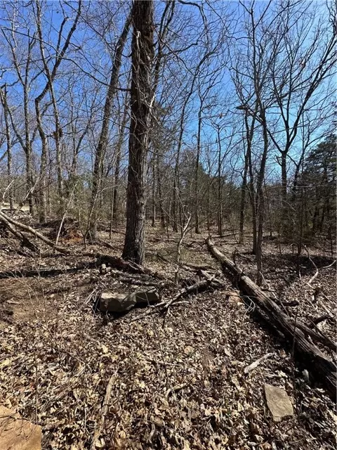 tbd Tbd, West Fork, AR 72774 photo 3