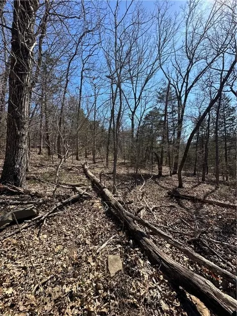 tbd Tbd, West Fork, AR 72774 photo 2