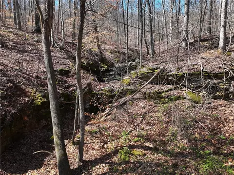 545 Nc 1000, Ponca, AR 72670 photo 20
