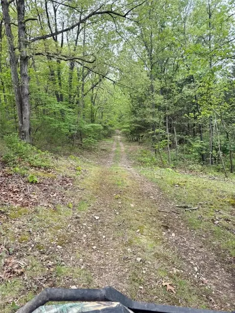 4601 Chaney Hollow Dr, Harrison, AR 72601 photo 36