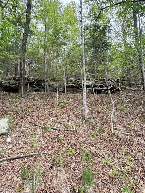 4601 Chaney Hollow Dr, Harrison, AR 72601 photo 42