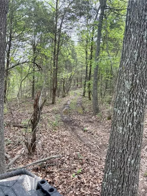 4601 Chaney Hollow Dr, Harrison, AR 72601 photo 37