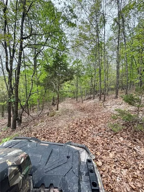 4601 Chaney Hollow Dr, Harrison, AR 72601 photo 38
