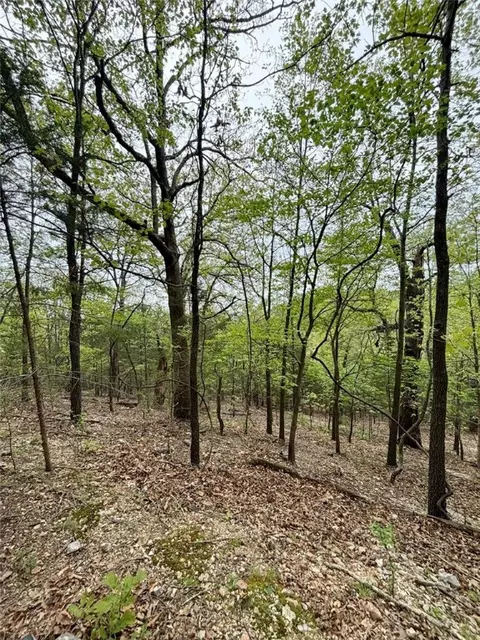 4601 Chaney Hollow Dr, Harrison, AR 72601 photo 40