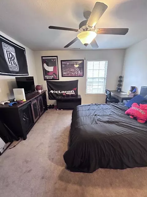 3899 Pasofino Loop, Springdale, AR 72764 photo 47