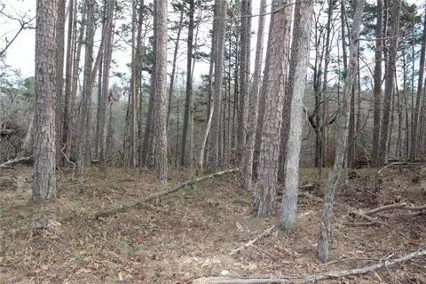 Cavern Drive, Rogers, AR 72756 photo 3