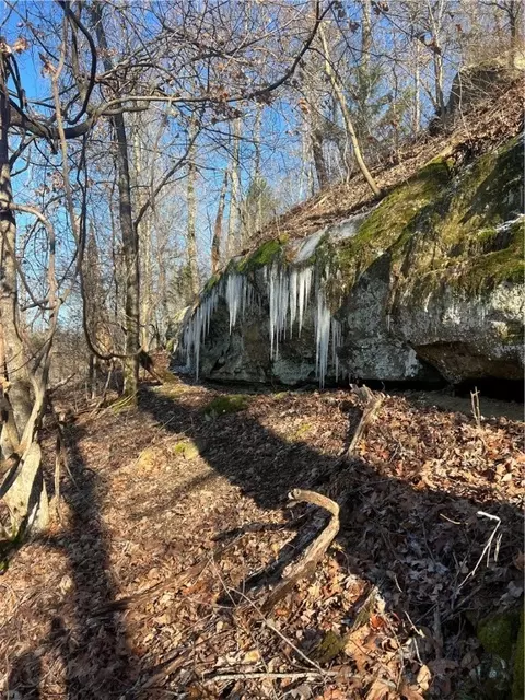 tbd Ferry Rd, Winslow, AR 72959 photo 6
