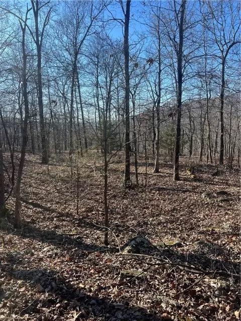 tbd Ferry Rd, Winslow, AR 72959 photo 14