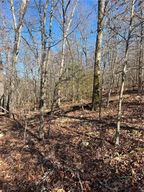 tbd Ferry Rd, Winslow, AR 72959 photo 17