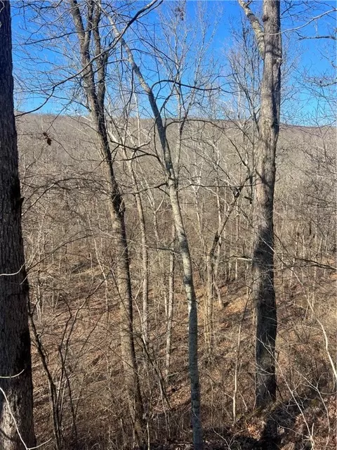 tbd Ferry Rd, Winslow, AR 72959 photo 5