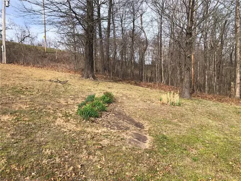 9504 16 Hwy, Deer, AR 72628 photo 6