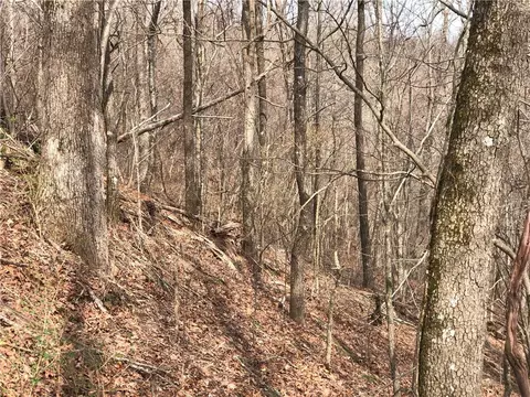 9504 16 Hwy, Deer, AR 72628 photo 9