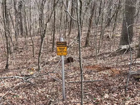 9504 16 Hwy, Deer, AR 72628 photo 8