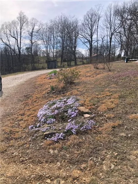 9504 16 Hwy, Deer, AR 72628 photo 13