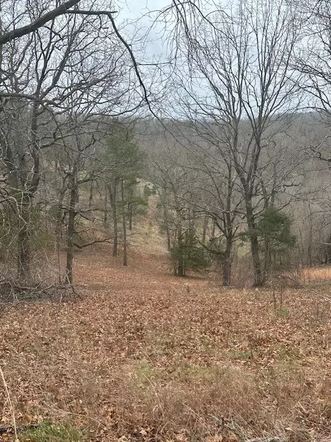 lot2 Cr 152, Eureka Springs, AR 72632