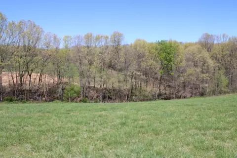 Zinc Road, Harrison, AR 72601 photo 3