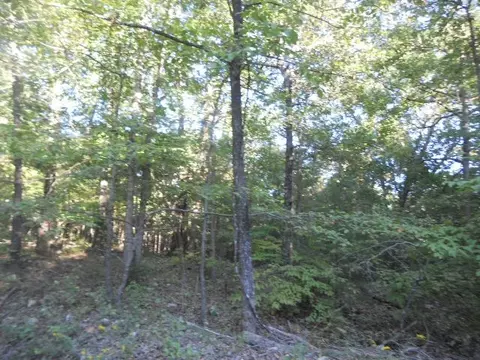 Nc 3950, Jasper, AR 72641 photo 5