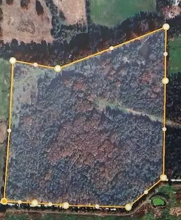 tbd Highway 21, Berryville, AR 72616