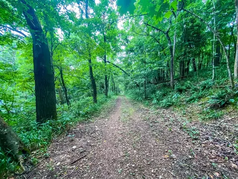 1 82 Lakefront Acres Shaffer Rd, Garfield, AR 72732 photo 4