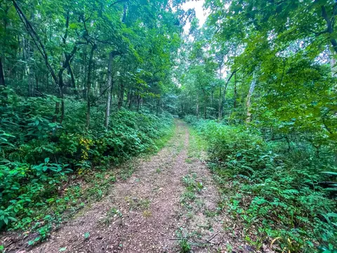 1 82 Lakefront Acres Shaffer Rd, Garfield, AR 72732 photo 5