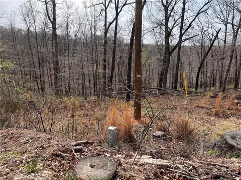6 Hutchinson Ln, Bella Vista, AR 72715