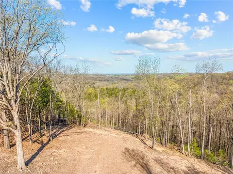 000 Tower Rd, Omaha, AR 72662 photo 4