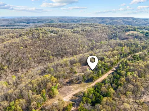 000 Tower Rd, Omaha, AR 72662 photo 11