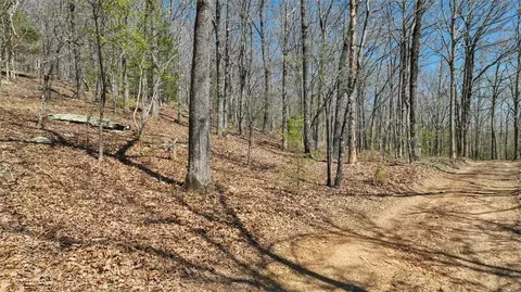 tbd True Love Rd, West Fork, AR 72774 photo 6