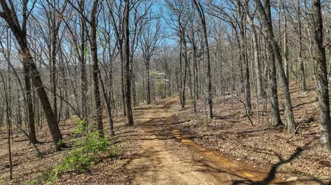 tbd True Love Rd, West Fork, AR 72774 photo 5