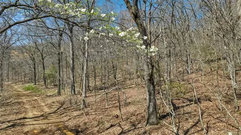 tbd True Love Rd, West Fork, AR 72774 photo 3