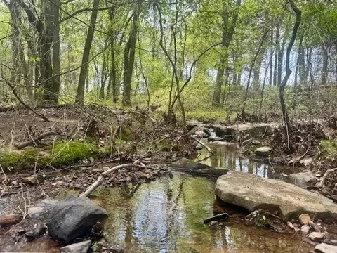 000 Norris Ln, Russellville, AR 72802