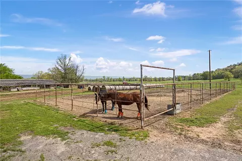 12250 Bluff Rd, Bluffton, AR 72827 photo 38