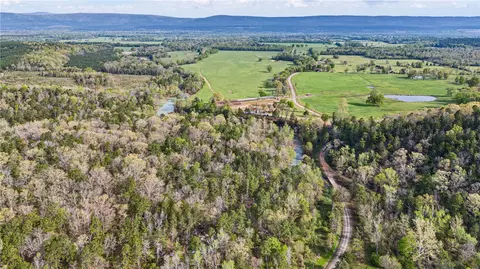 12250 Bluff Rd, Bluffton, AR 72827 photo 48