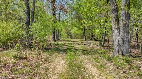 159 Acres Mol Safari Rd, Decatur, AR 72734 photo 15