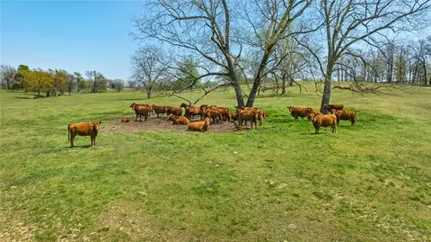 159 Acres Mol Safari Rd, Decatur, AR 72734 photo 14