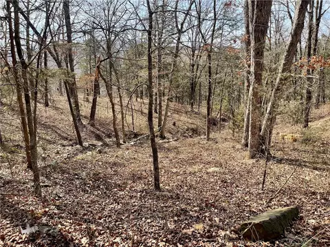 Other - 20742 Highway 295, Wesley, AR 72773 photo 16 of 17