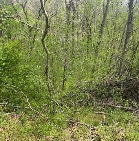 Birsay Place, Bella Vista, AR 72715