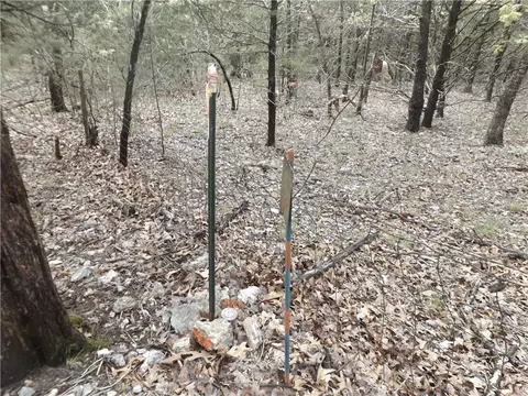 Tuscon Lane, Viola, AR 72583 photo 9