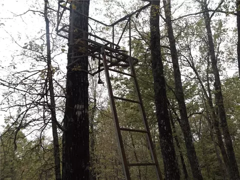 Tuscon Lane, Viola, AR 72583