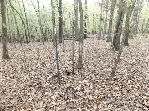 Tuscon Lane, Viola, AR 72583 photo 7