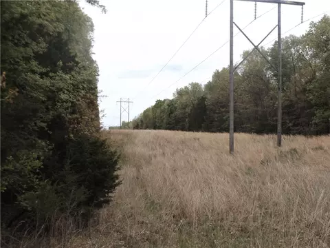 Tuscon Lane, Viola, AR 72583 photo 3