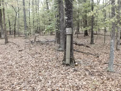 Tuscon Lane, Viola, AR 72583 photo 2