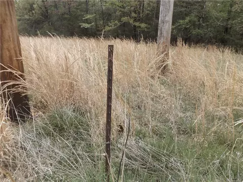 Tuscon Lane, Viola, AR 72583 photo 5