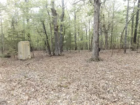 Tuscon Lane, Viola, AR 72583 photo 6