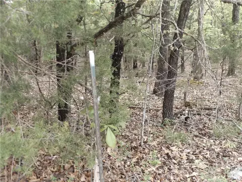 Tuscon Lane, Viola, AR 72583 photo 4