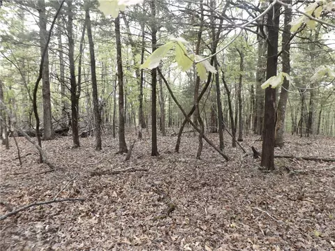 Tuscon Lane, Viola, AR 72583 photo 8