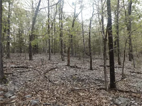 Tuscon Lane, Viola, AR 72583 photo 10