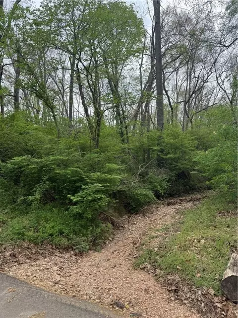 lot23 W Brush Creek Loop, Little Flock, AR 72756