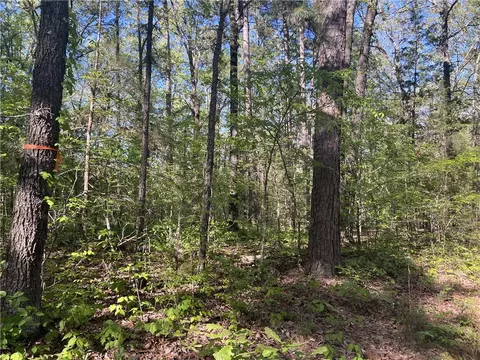 Oakland Road, St. Joe, AR 72675