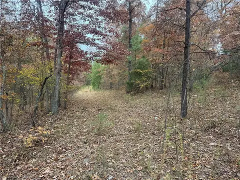 3754 Nc 3050, Jasper, AR 72641 photo 27